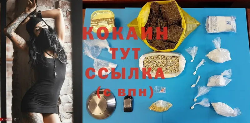 купить наркотик  Приморско-Ахтарск  COCAIN Fish Scale 